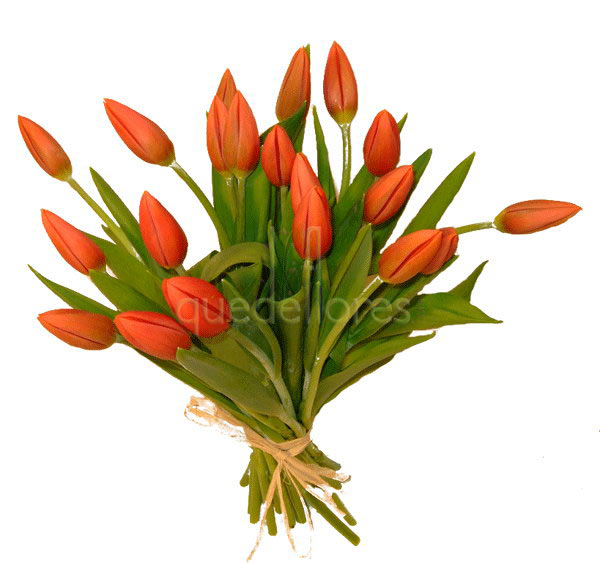 Los tulipanes, flores perfectas para ellos