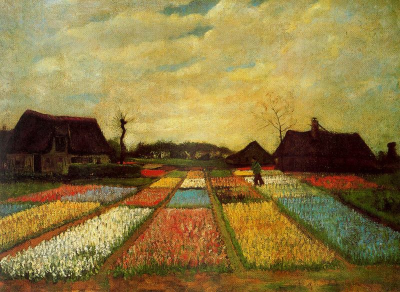 "Campo de tulipanes" de Vincent Van Gogh