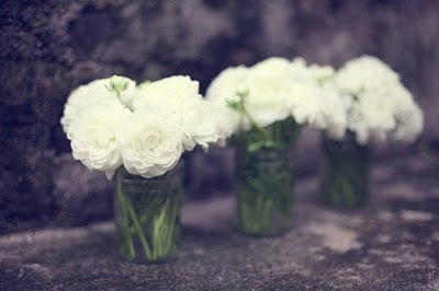 Rosas blancas para decorar
