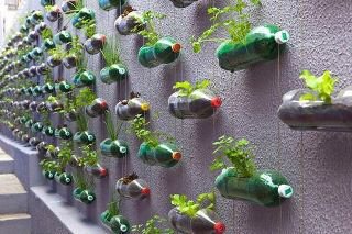 Jardín vertical con botellas