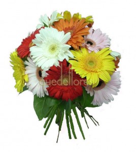 Bouquet de Gerberas Multicolor