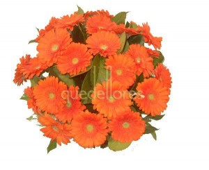 Bouquet de Gerberas Naranjas