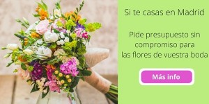 banner bodas blog