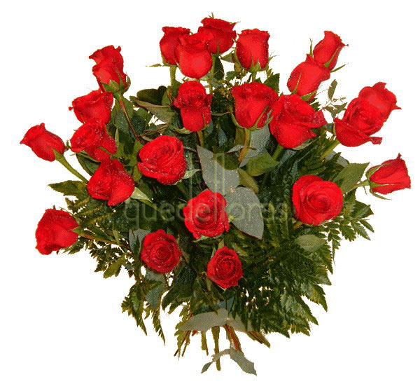 Ramo clásico de 24 rosas rojas