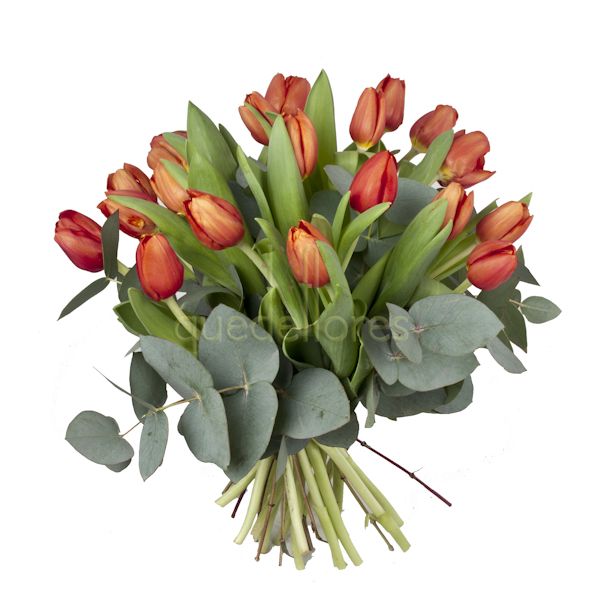 Ramos de tulipanes rojos