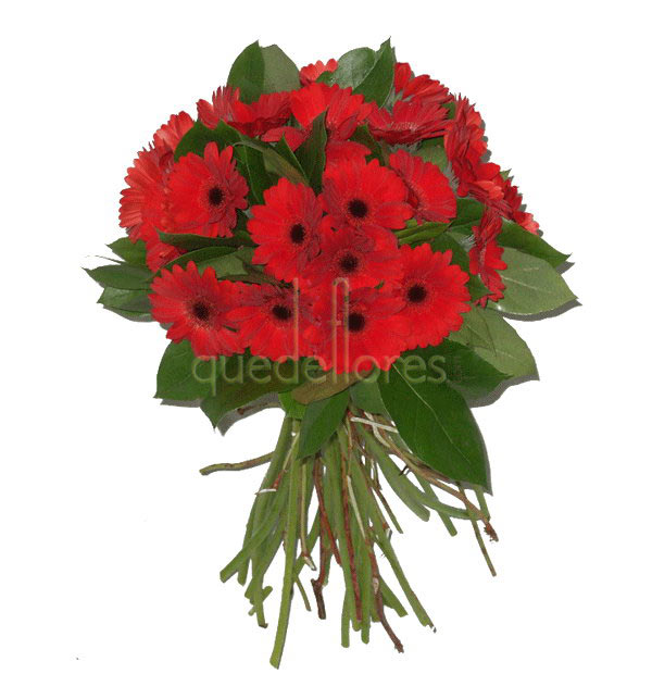 Bouquet de gerberas rojas