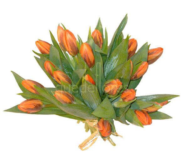 Ramo de tulipanes naranjas