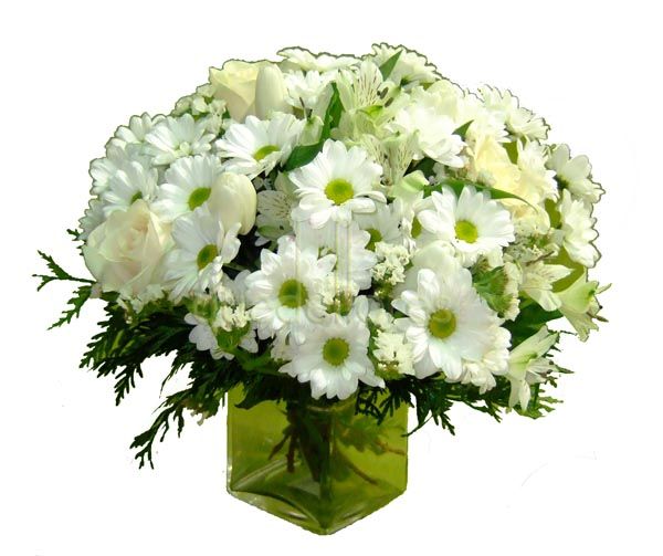 Cubito QDF de flores blancas