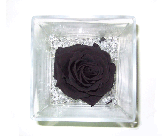Rosa negra en cubito de cristal