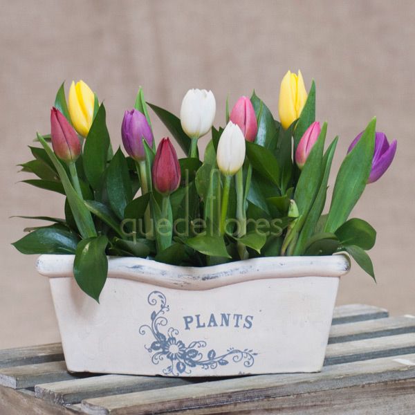 Jardinera de tulipanes