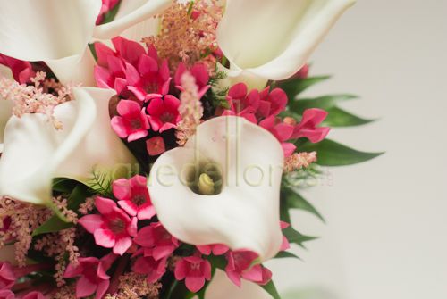 Bouquet de novia Calas y bouvardia
