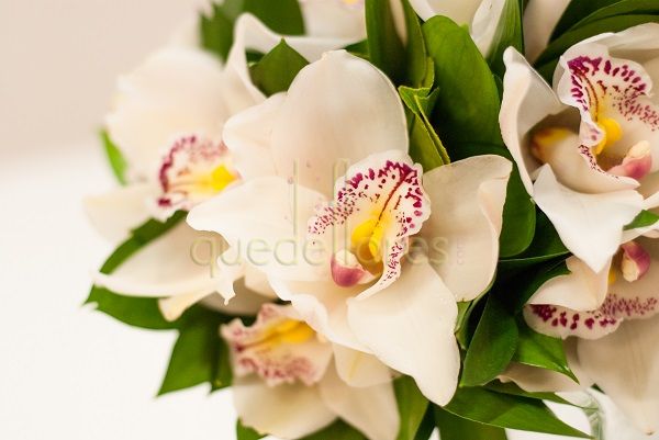 Ramo de novia Cascada Orquídeas